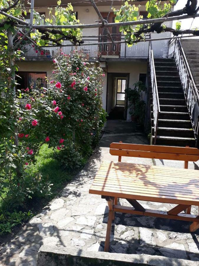 Apartment Dejan 采蒂涅 外观 照片